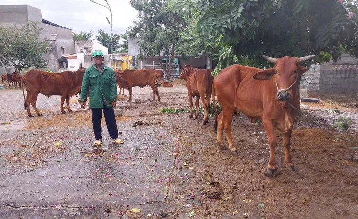 Nha Trang - Ảnh 3.