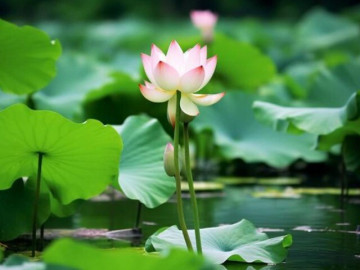 Người thực sự muốn làm giàu, có 4 điều càng thực hiện sớm càng tốt