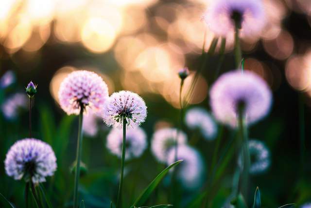 Phụ nữ giữ được sự tĩnh lặng trong 2 việc này rất khôn ngoan, ắt có phúc đức sâu dày - 1