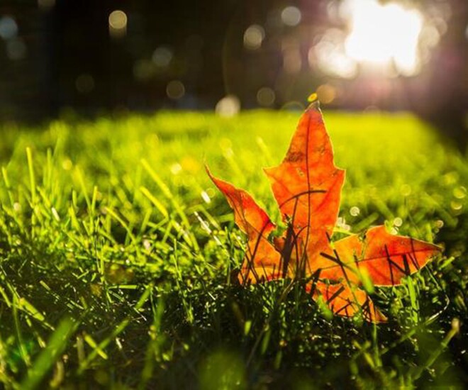 Quan hệ khăng khít đến mấy cũng phải nhớ “3 không” này, đó mới là khôn ngoan, tỉnh táo - 1