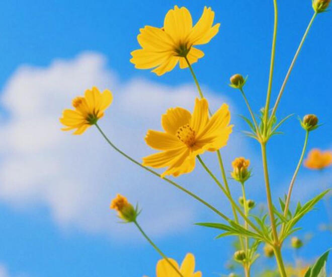 Quan hệ khăng khít đến mấy, kiên quyết rời xa người thích nói với bạn 3 câu này mới là khôn ngoan - 1