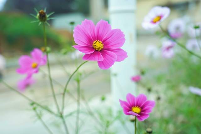 Quan hệ khăng khít đến mấy, kiên quyết rời xa người thích nói với bạn 3 câu này mới là khôn ngoan - 2