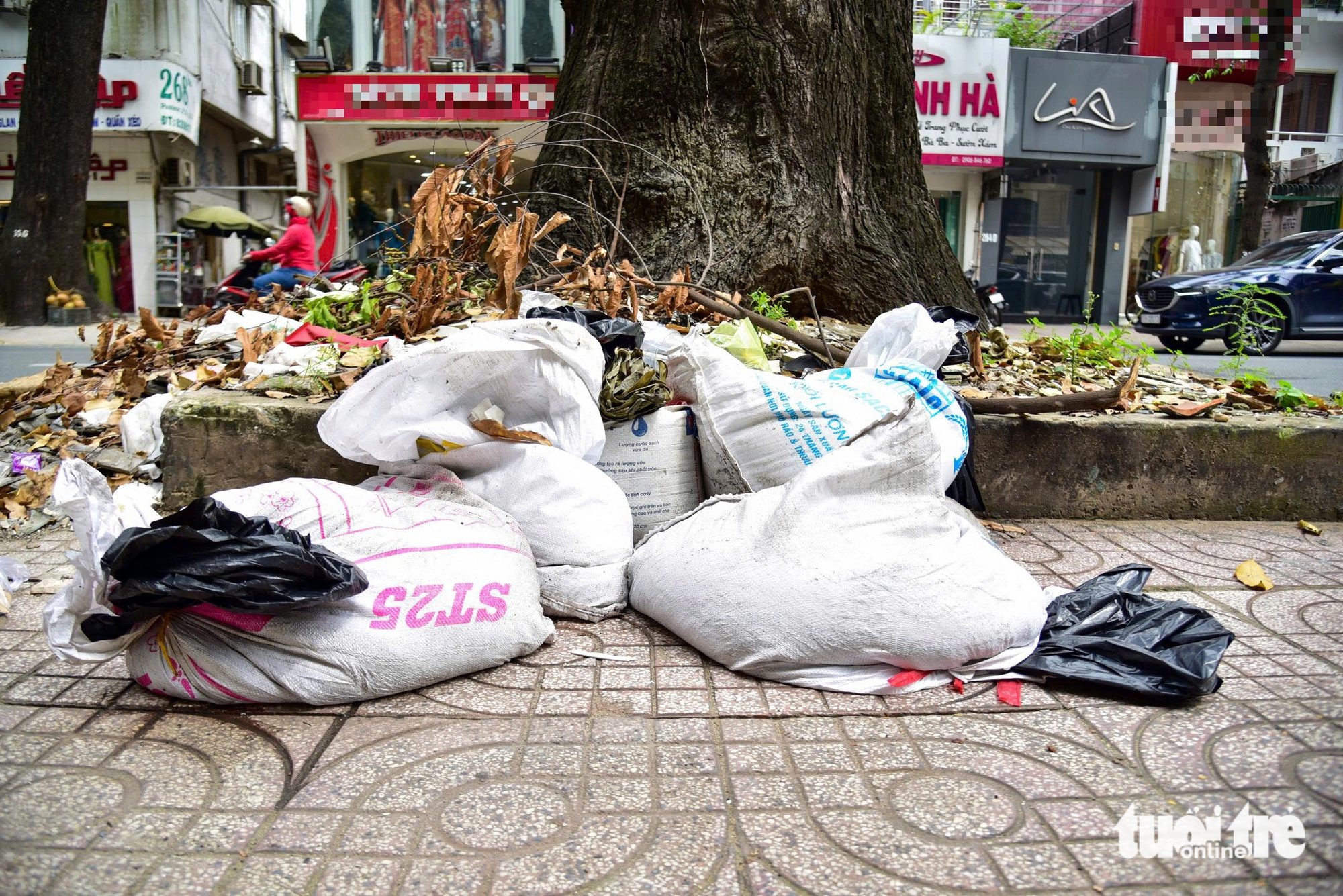  Viện Pasteur TP.HCM - Ảnh 1.