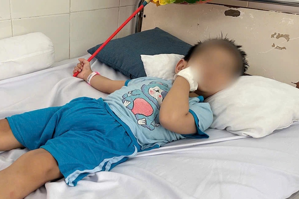 Sở An toàn thực phẩm TPHCM nói về quy trình điều tra vụ ngộ độc bánh mì - 1