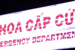 Hơn 40 người đau bụng, nôn ói sau khi ăn bánh mì ở TPHCM