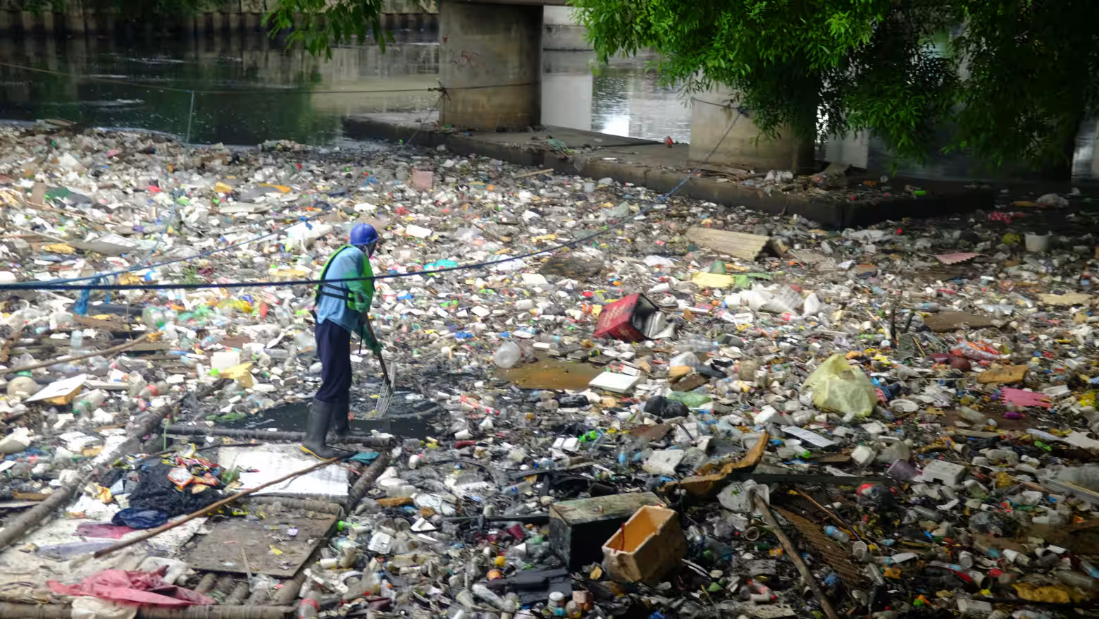 rác thải - Ảnh 1.