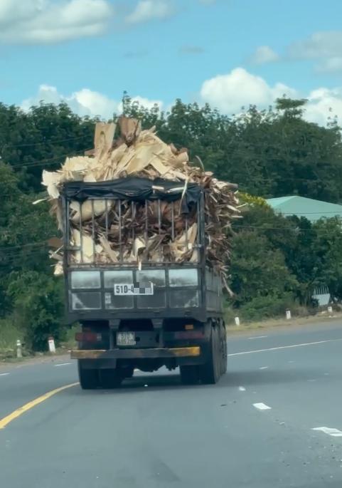 Tài xế bị xử phạt từ tin báo qua Zalo 0779986060 của trưởng phòng CSGT- Ảnh 1.