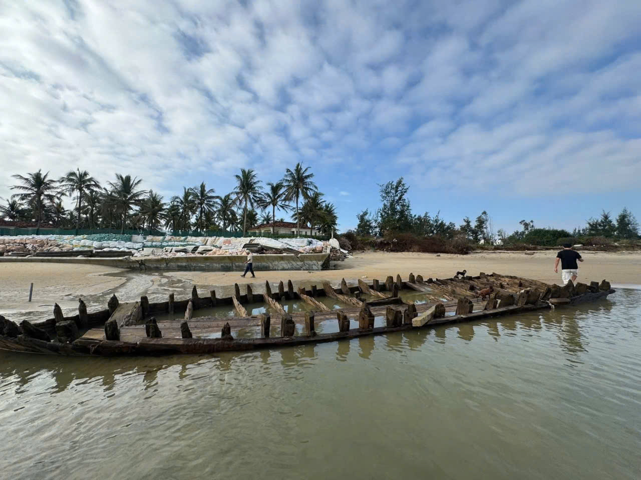 Tàu cổ Hội An lộ diện Sau bão số 13 thu hút du khách tham quan - Ảnh 1.