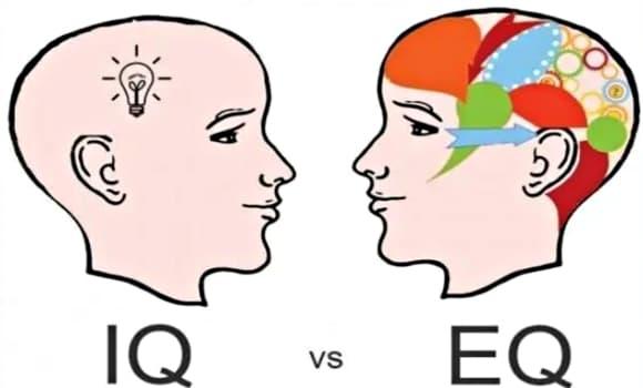 IQ, người thành công, dấu hiệu người thành công, cách nuôi dạy con, Trí tuệ cảm xúc, EQ cao