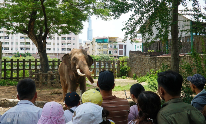 Người dân đang xem voi tại Thảo Cầm Viên. Ảnh: Phong Vinh