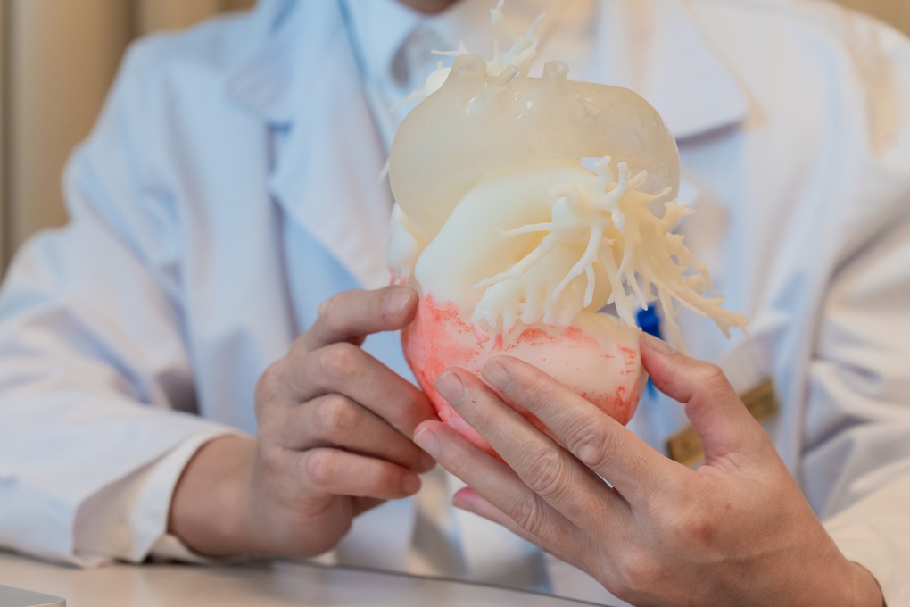 Thay van động mạch chủ qua da bằng công nghệ in 3D cá thể hóa - 1