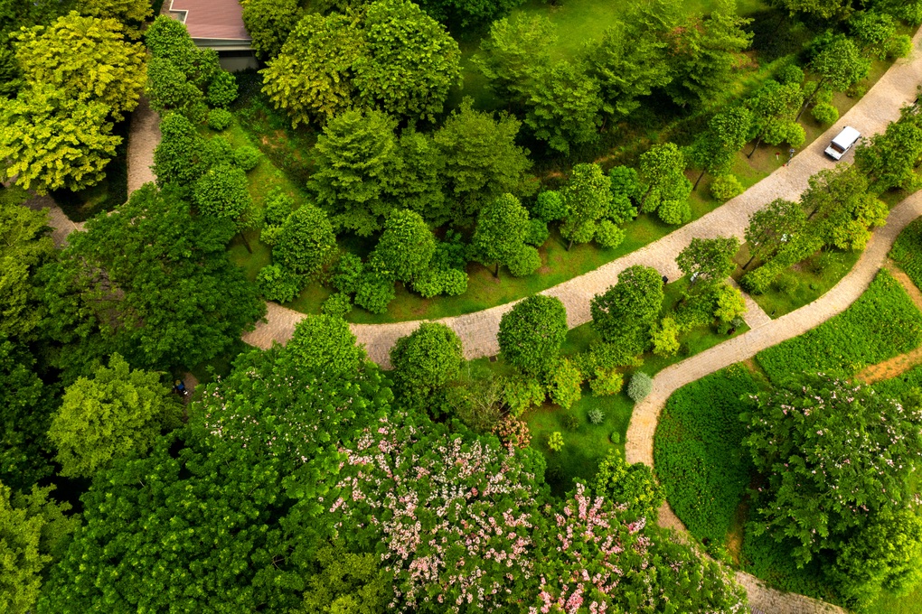 The Pearl: Nơi những gam màu được đan dệt bên vẻ đẹp của dòng sông Vàm Cỏ - 2