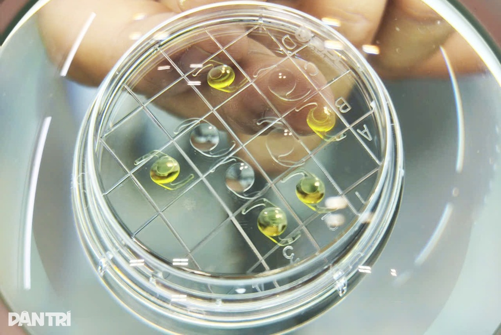 Thứ trưởng Bộ Y tế nêu kỳ vọng với hàng trăm giám đốc bệnh viện phía Nam - 3