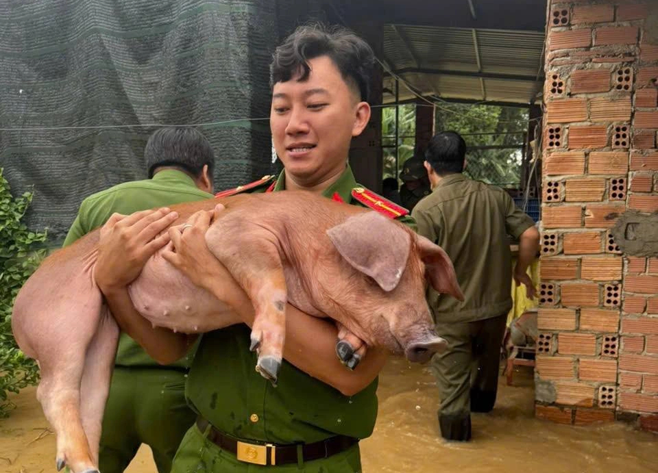 Đồng Nai: Thủy điện xả tràn không báo trước gây ngập lụt, thiệt hại 40 tỉ đồng- Ảnh 2. Đồng Nai: Thủy điện xả tràn không báo trước gây ngập lụt, thiệt hại 40 tỉ đồng- Ảnh 2.