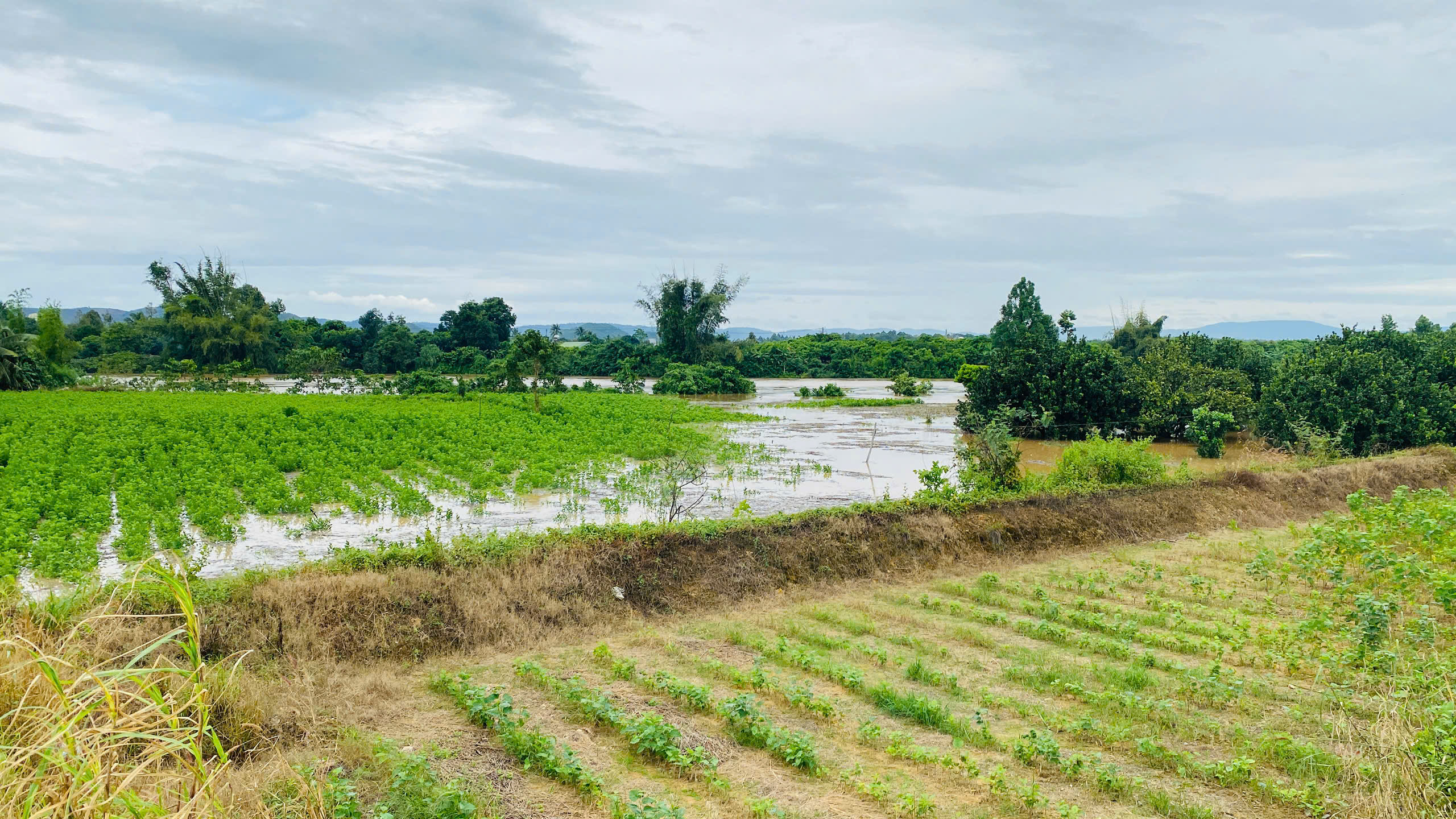 Đồng Nai: Thủy điện xả tràn không báo trước gây ngập lụt, thiệt hại 40 tỉ đồng- Ảnh 1. Đồng Nai: Thủy điện xả tràn không báo trước gây ngập lụt, thiệt hại 40 tỉ đồng- Ảnh 1.