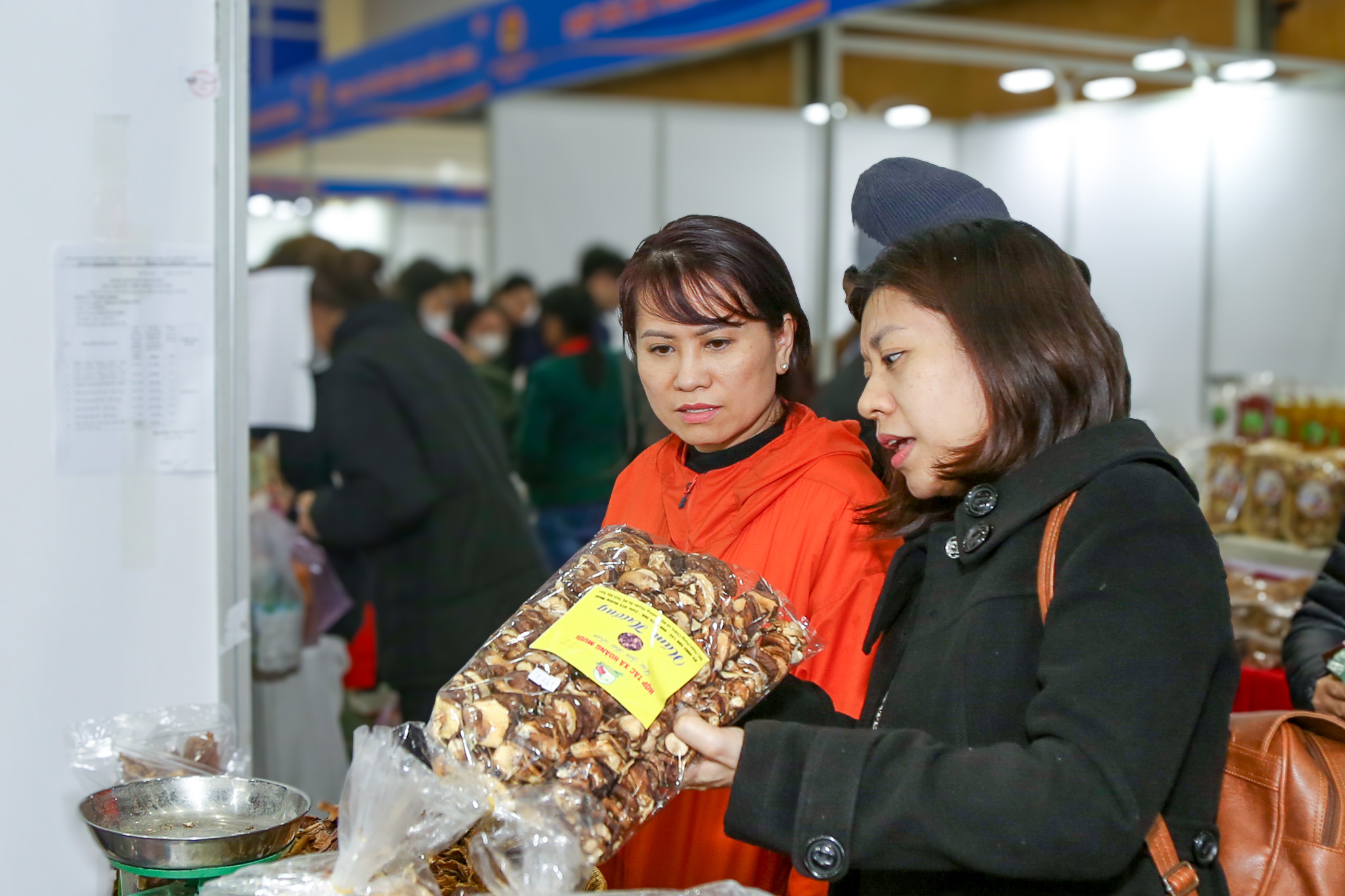 tin tức - Ảnh 2.