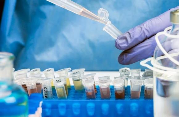 virus gây liệt vĩnh viễn hoặc tử vong, virus nguy hiểm với trẻ em, kiến thức