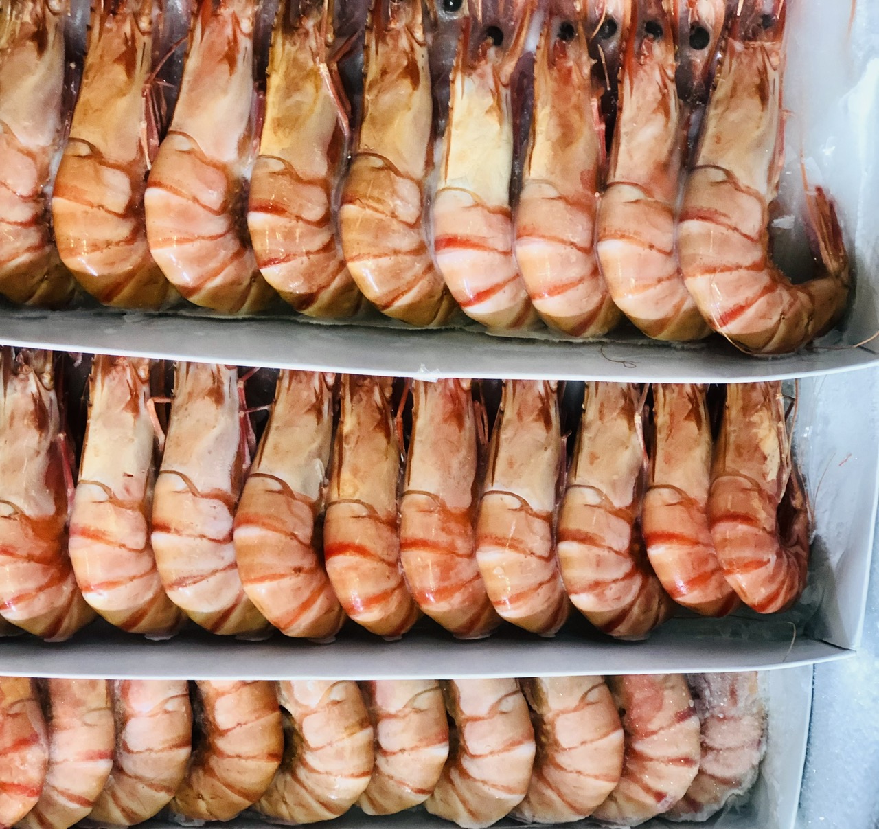 Tôm Indonesia nhiễm phóng xạ, tôm Việt có cơ hội bứt phá?- Ảnh 1.