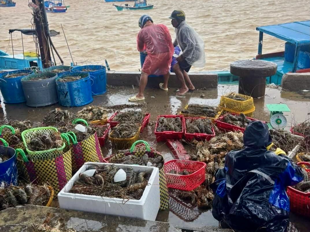 Tôm hùm chết hàng loạt do sốc nước lũ, nhiều khu vực ngập sâu dân đợi ứng cứu tại Đắk Lắk - Ảnh 1.