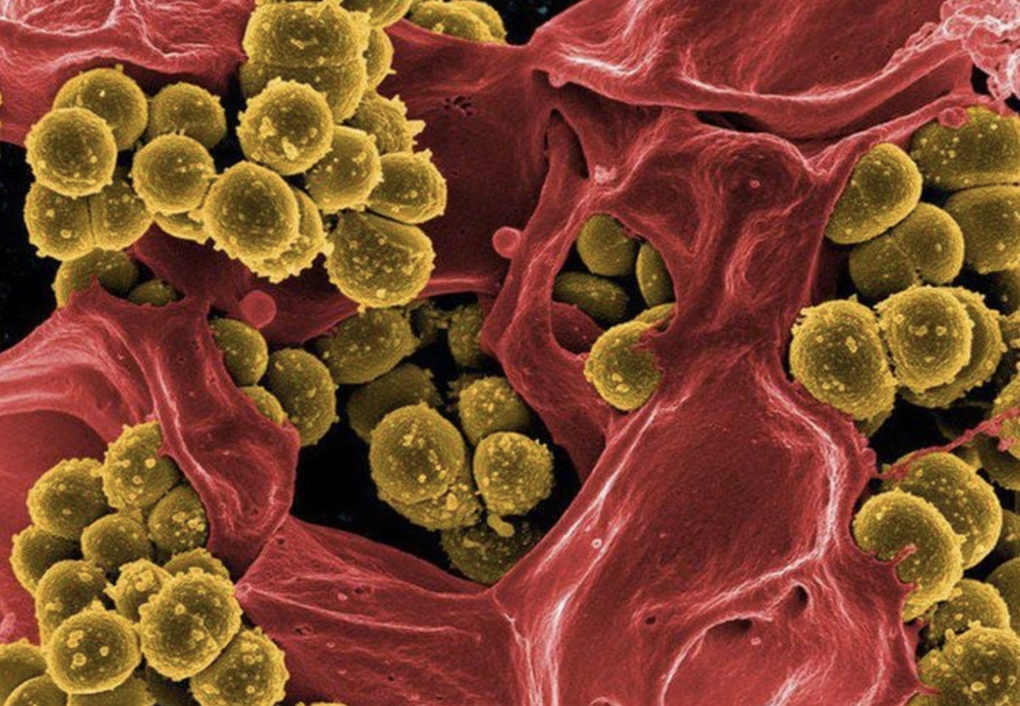 Trai trẻ rước họa vào thân vì tìm cách “tăng khoái cảm” phản khoa học - 1