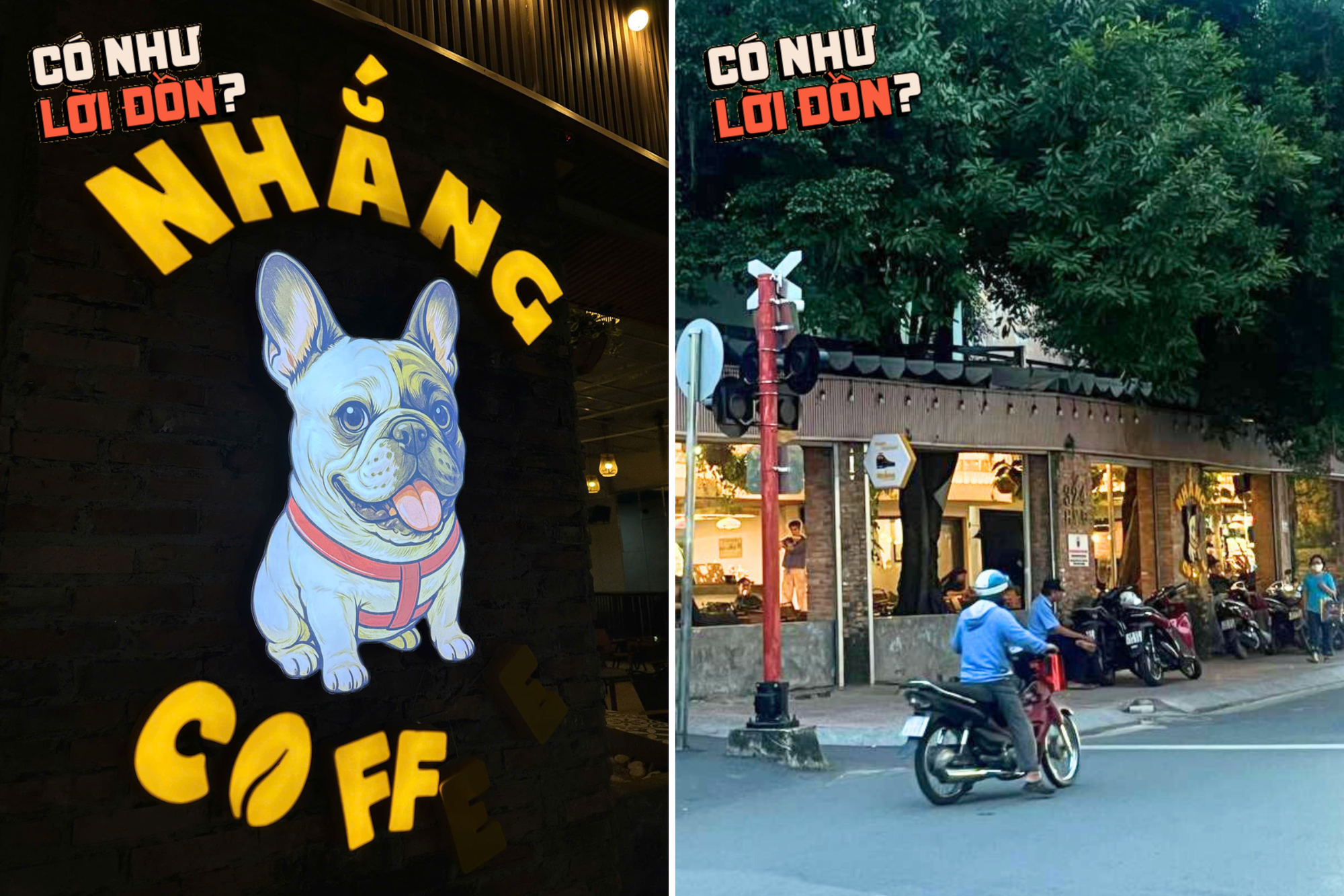 Trấn Thành từng tấm tắc khen quán cà phê của mẹ OgeNus, mức giá gây bất ngờ nhưng hương vị thực tế ra sao?- Ảnh 1.