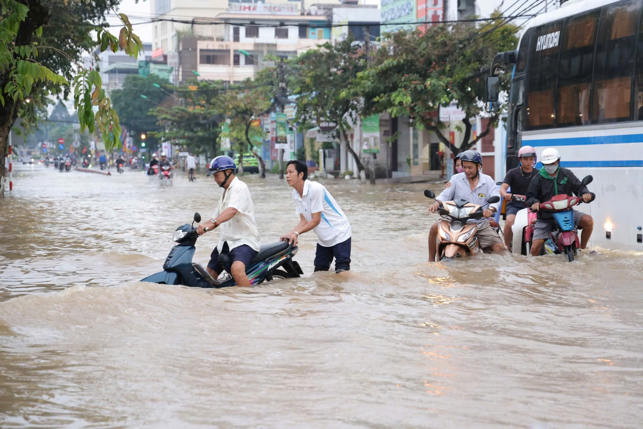 Cần Thơ - Ảnh 1.