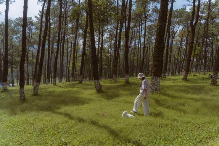 Ảnh Nguyễn Hồng Nhật