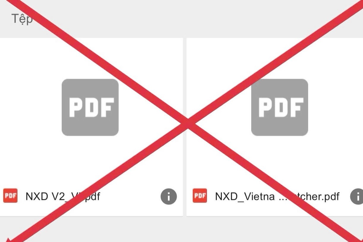 “Tài liệu 88 trang”: Từ chối truy cập để bảo vệ mình khỏi hiệu ứng hoảng loạn lan truyền- Ảnh 2.