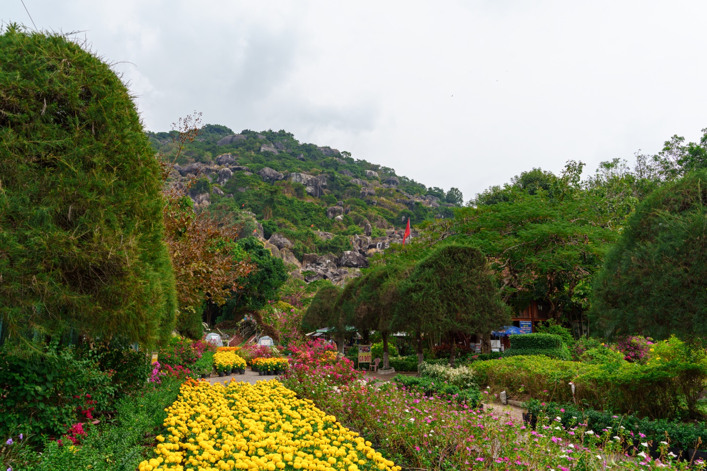 Tức Dụp – ngọn đồi đặc biệt ở miền Tây- Ảnh 1.