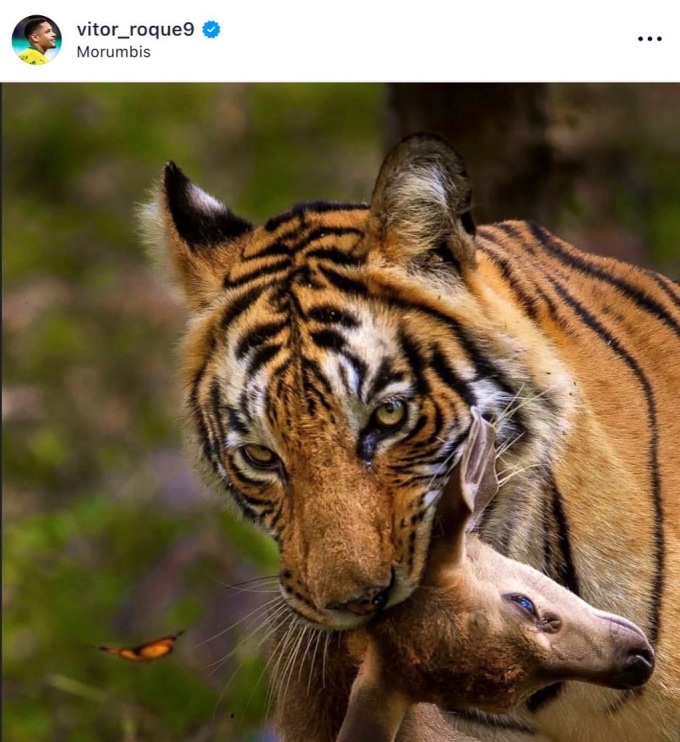 Hình ảnh gây tranh cãi được đăng lên trang cá nhân của Roque. Ảnh: Instagram