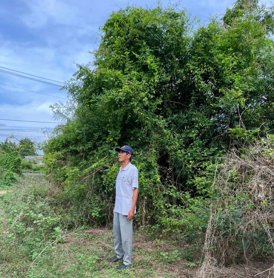 VKSND Tối cao ra thông báo và chỉ dẫn vụ xin kháng nghị vì 'có khả năng tranh chấp nhầm đất'