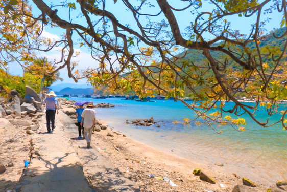 Xóm đảo Bích Đầm trước cơ hội lớn - Ảnh 1. Xóm đảo Bích Đầm trước cơ hội lớn - Ảnh 1.