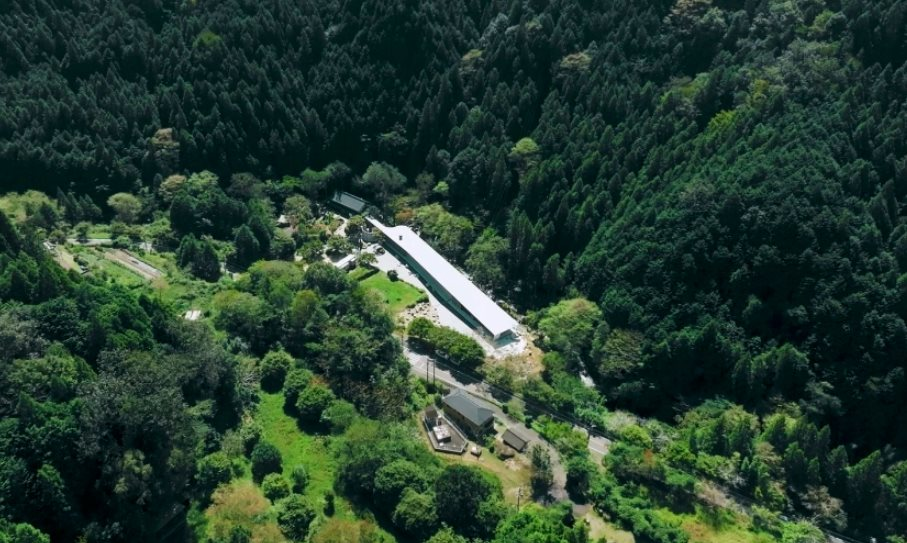 Đôi vợ chồng chi hơn 12 tỷ đồng mua mảnh đất 16.000m2 để nghỉ hưu sớm: “1 năm sau tôi phải quay lại thành phố, mọi thứ khác xa tưởng tượng”- Ảnh 1.