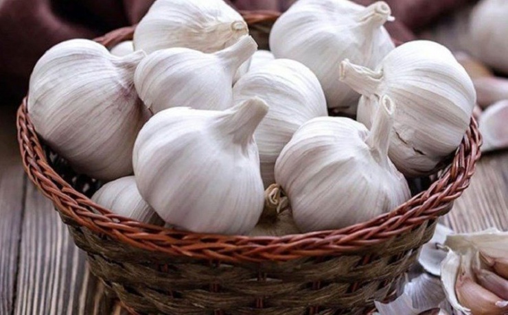 Ngoài làm gia vị, củ tỏi còn được dùng để phòng và chống một số bệnh thông thường.