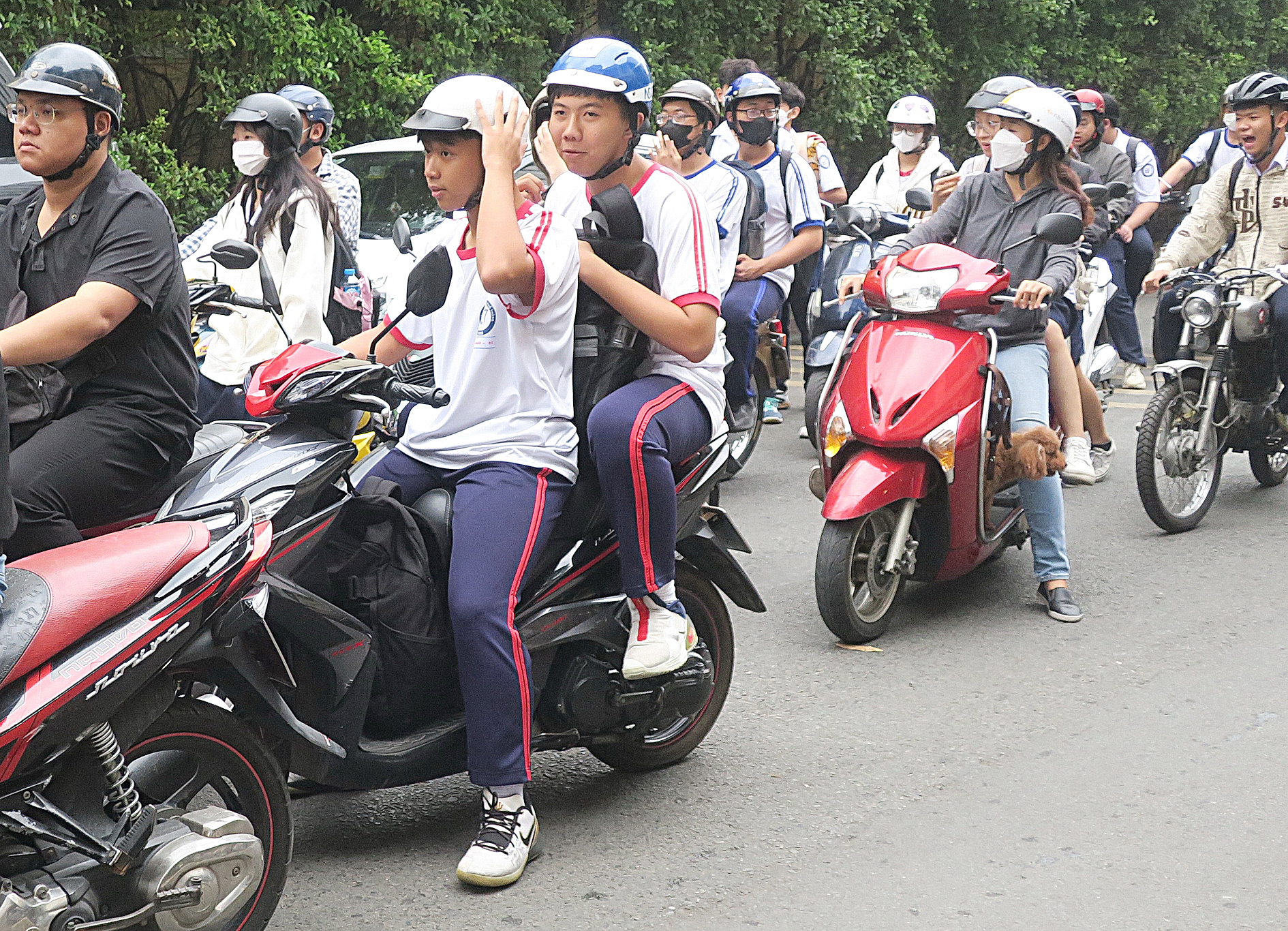 bằng lái xe - Ảnh 1.