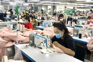 TP.HCM công bố chi tiết mức lương tối thiểu vùng áp dụng từ 1-1-2026