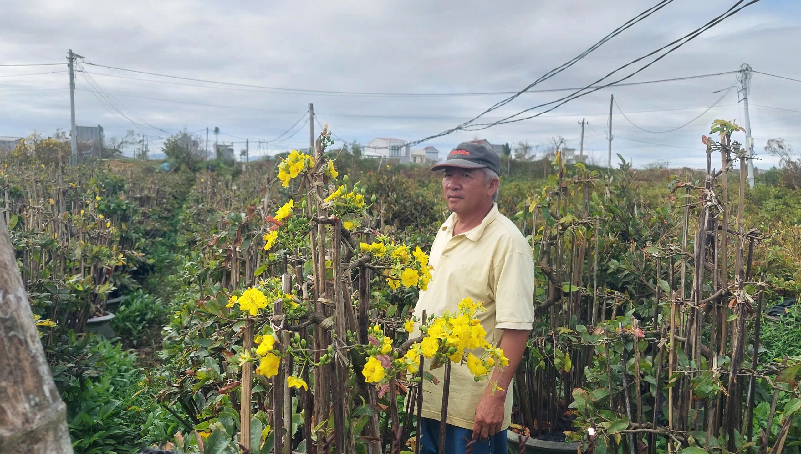 Tan hoang những vườn hoa ngập lũ - Ảnh 2.