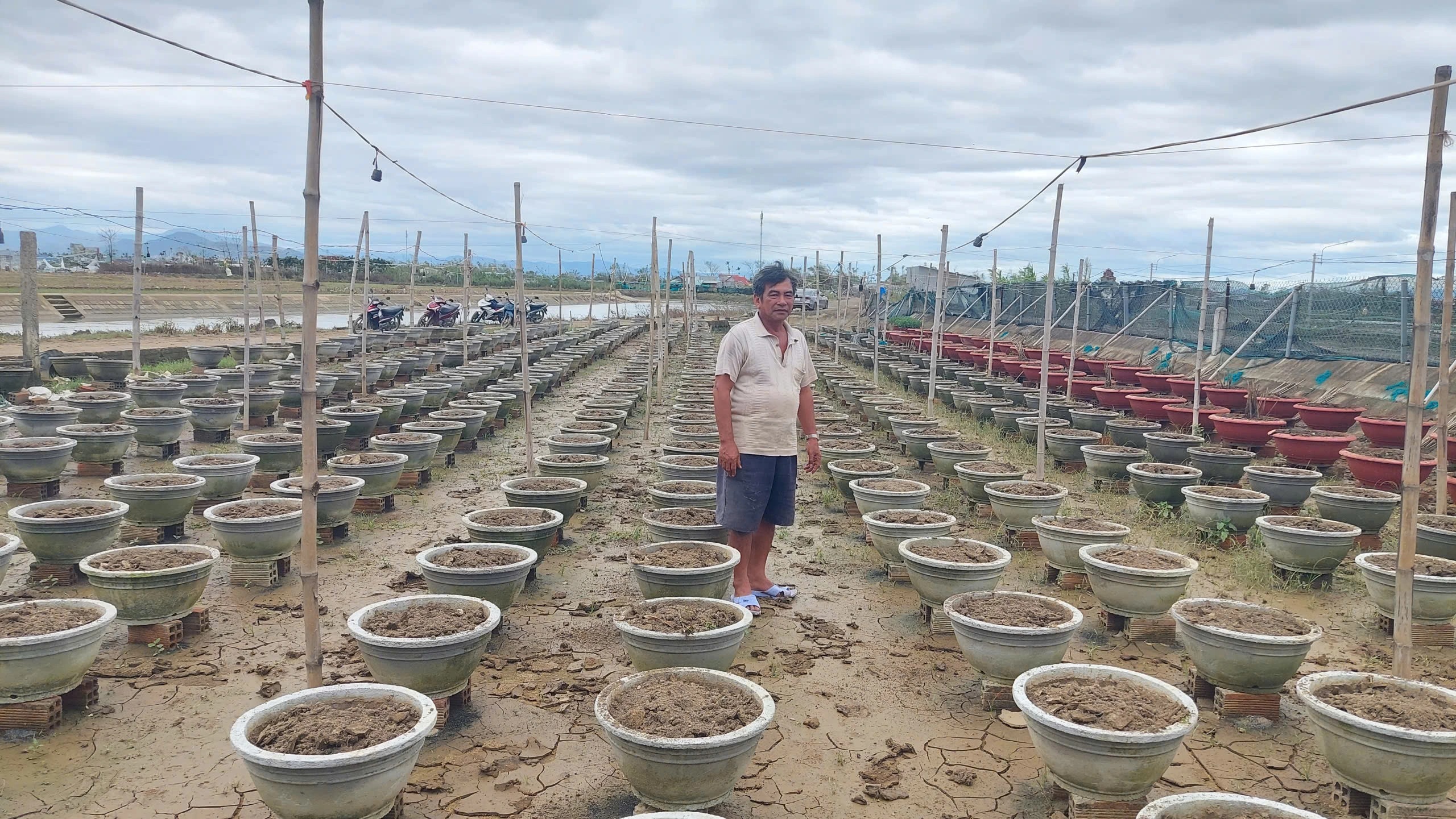 Tan hoang những vườn hoa ngập lũ - Ảnh 3.