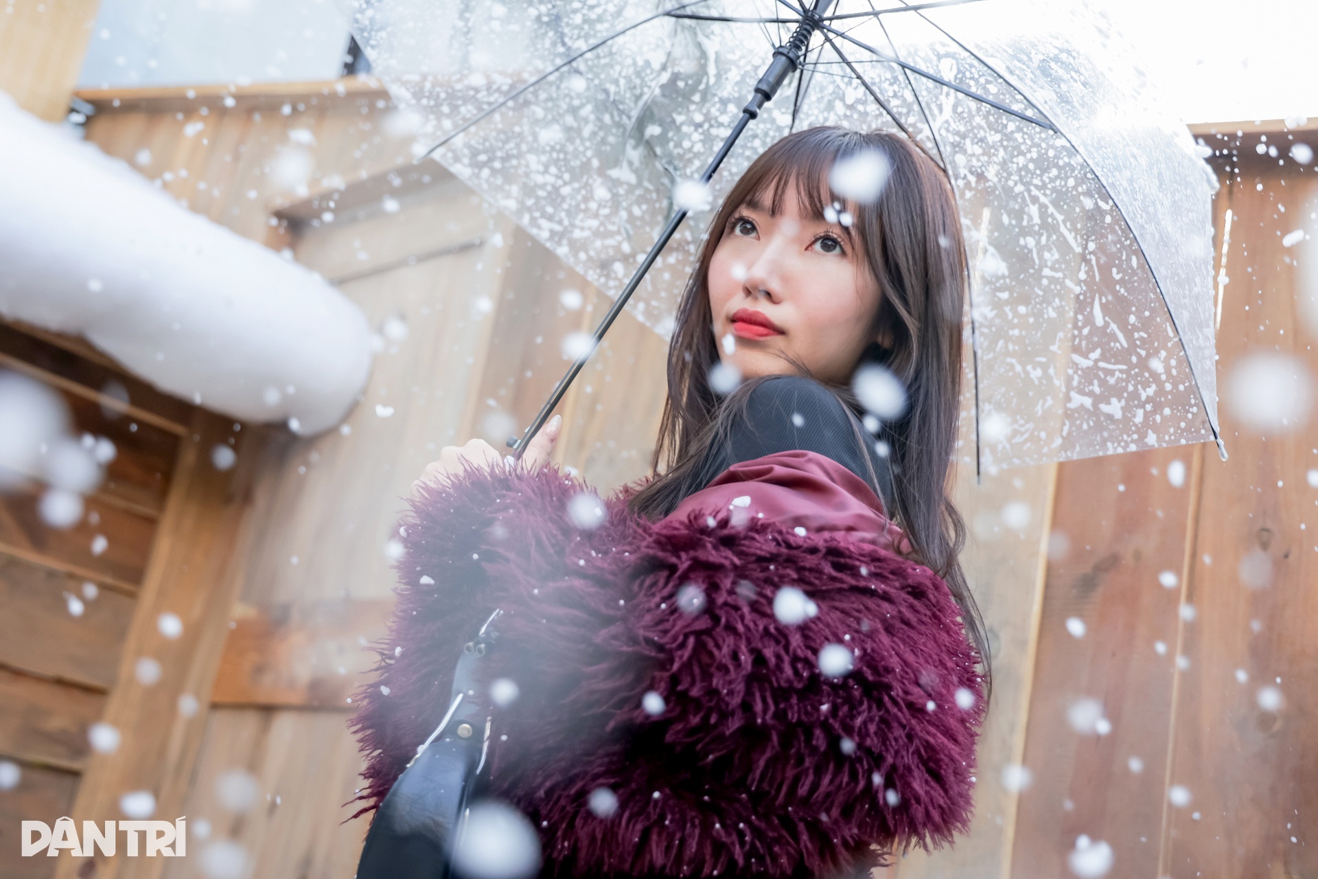 Thiếu nữ Hà Nội lên đồ xinh lung linh cho mùa Giáng sinh - 5