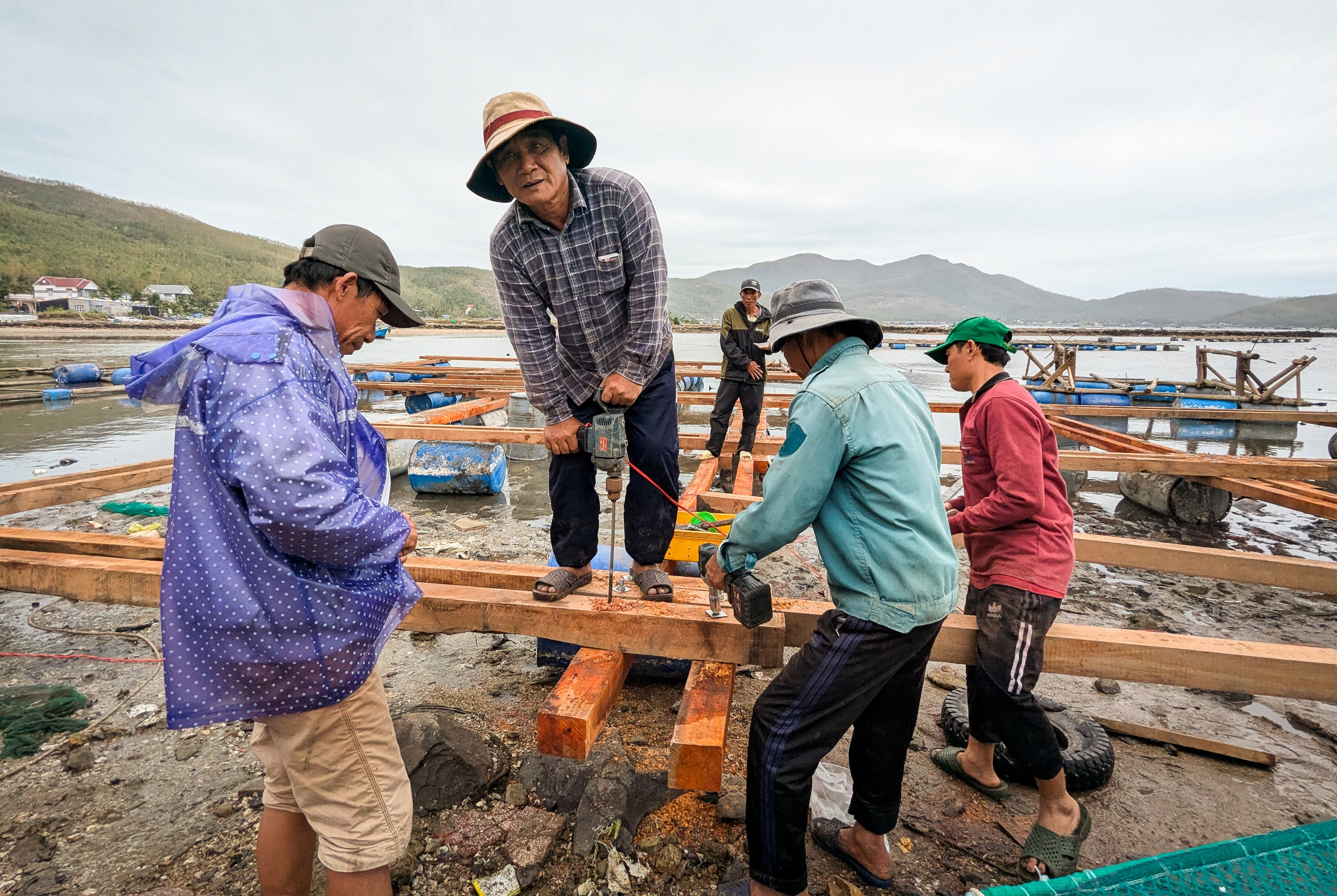 Tỉ phú tôm hùm quyết dựng lại cơ nghiệp - Ảnh 4. tôm hùm - Ảnh 4.