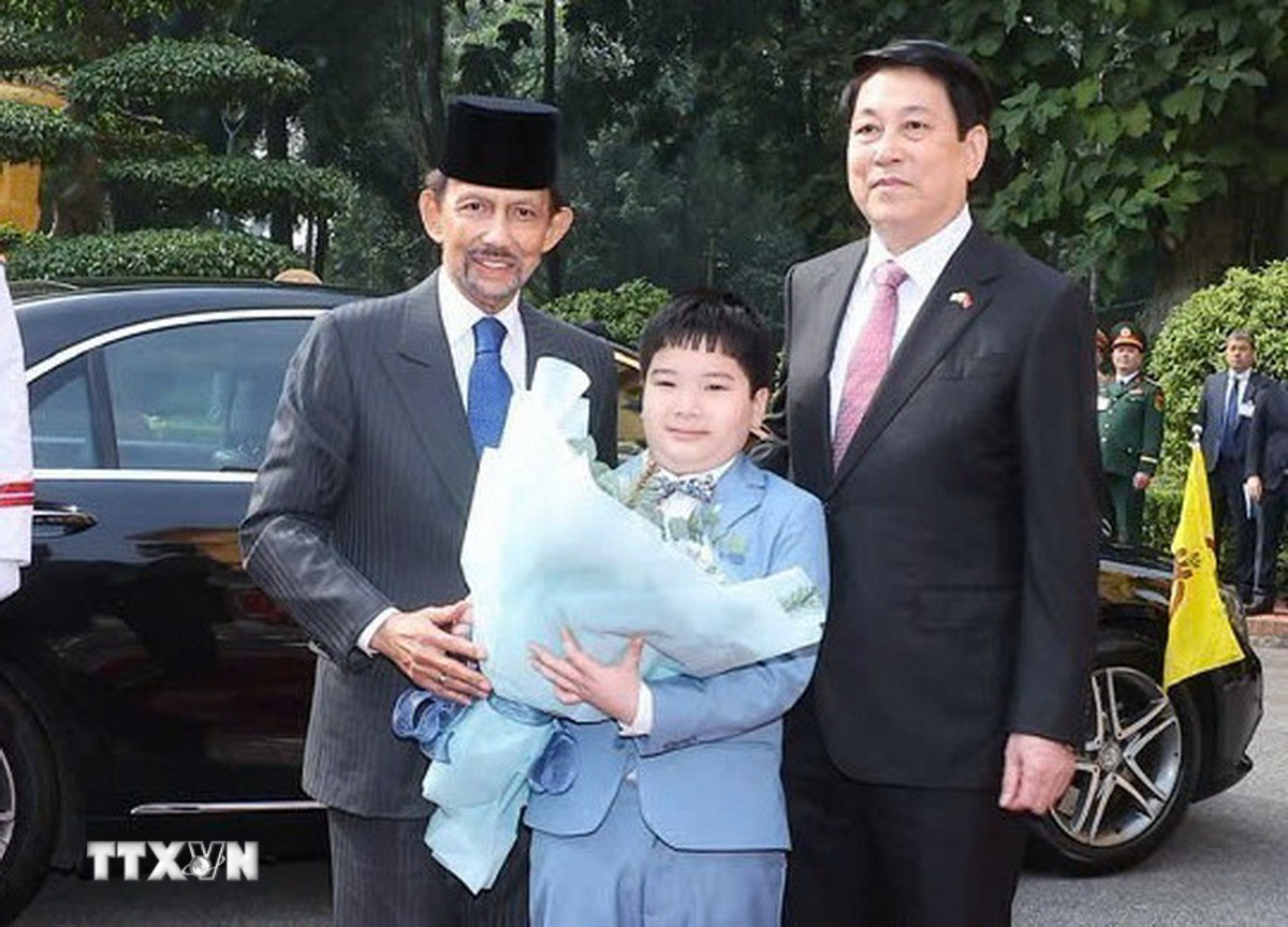 Chủ tịch nước Lương Cường chủ trì lễ đón chính thức Quốc vương Brunei - Ảnh 2.