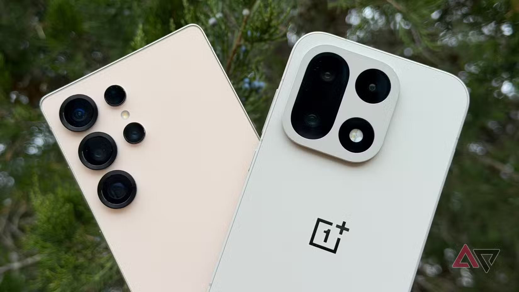 Chuyên gia cảnh báo: 