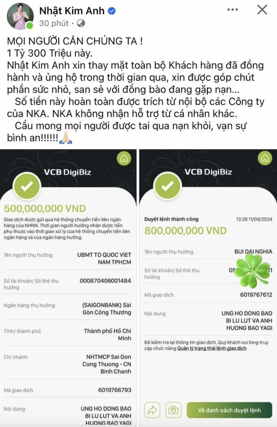 Facebook tick xanh Nhật Kim Anh đáp trả cộng đồng mạng 3 Facebook tick xanh Nhật Kim Anh đáp trả cộng đồng mạng - Ảnh 4.