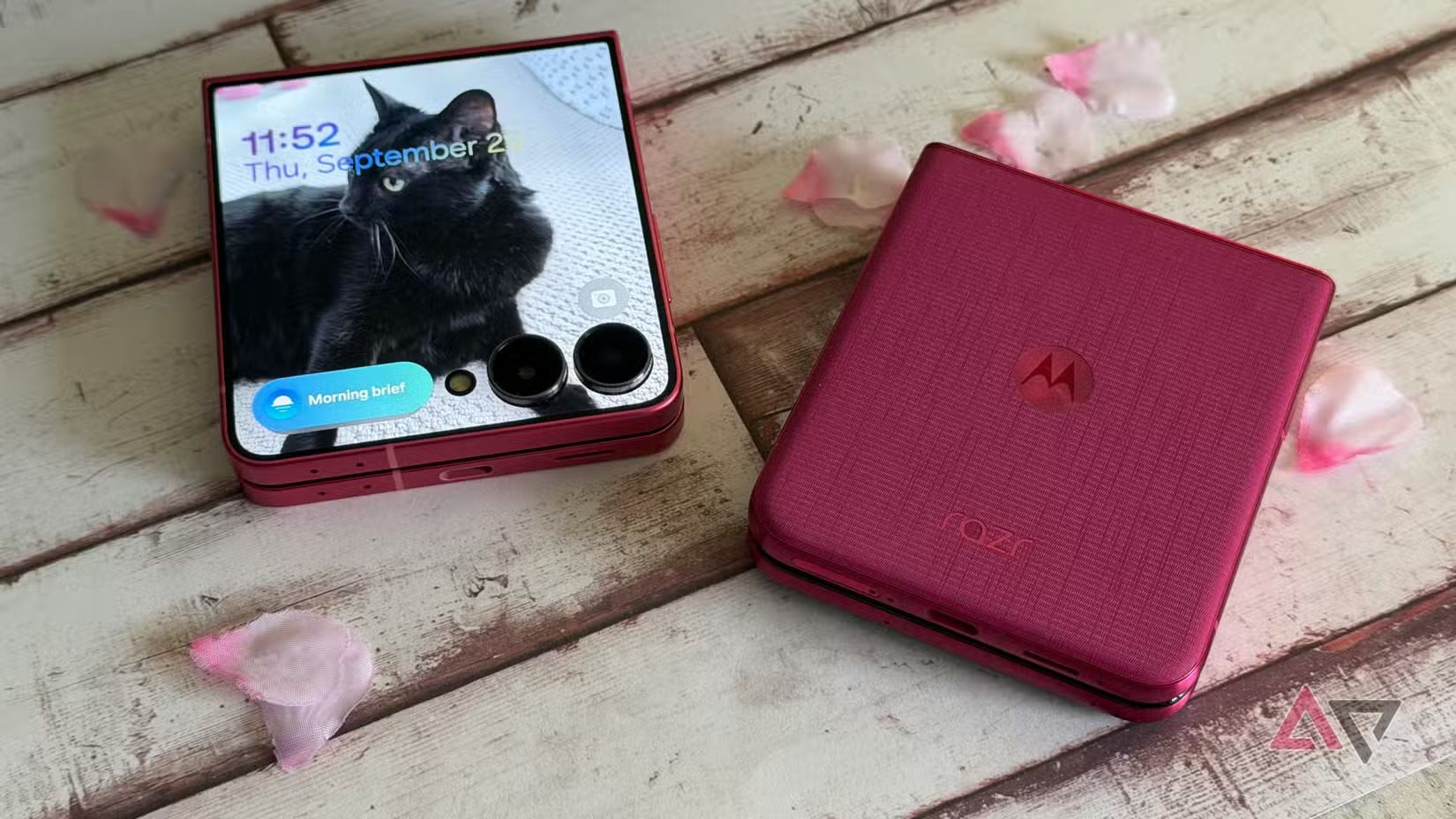 Samsung, iPhone vẫn cứ 