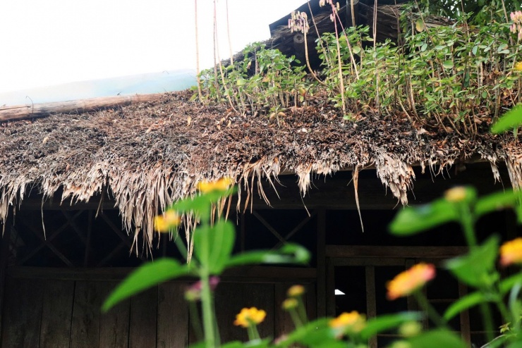 Ngắm những nếp nhà sàn nguyên sơ của người Mường ở làng du lịch - 4