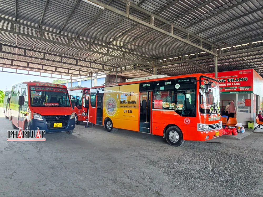 xe-buyt-can-tho-2025-1.jpg