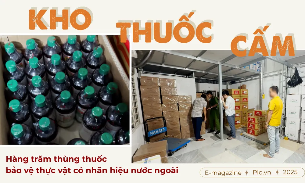 GHÉP CỤM HÌNH 3.png