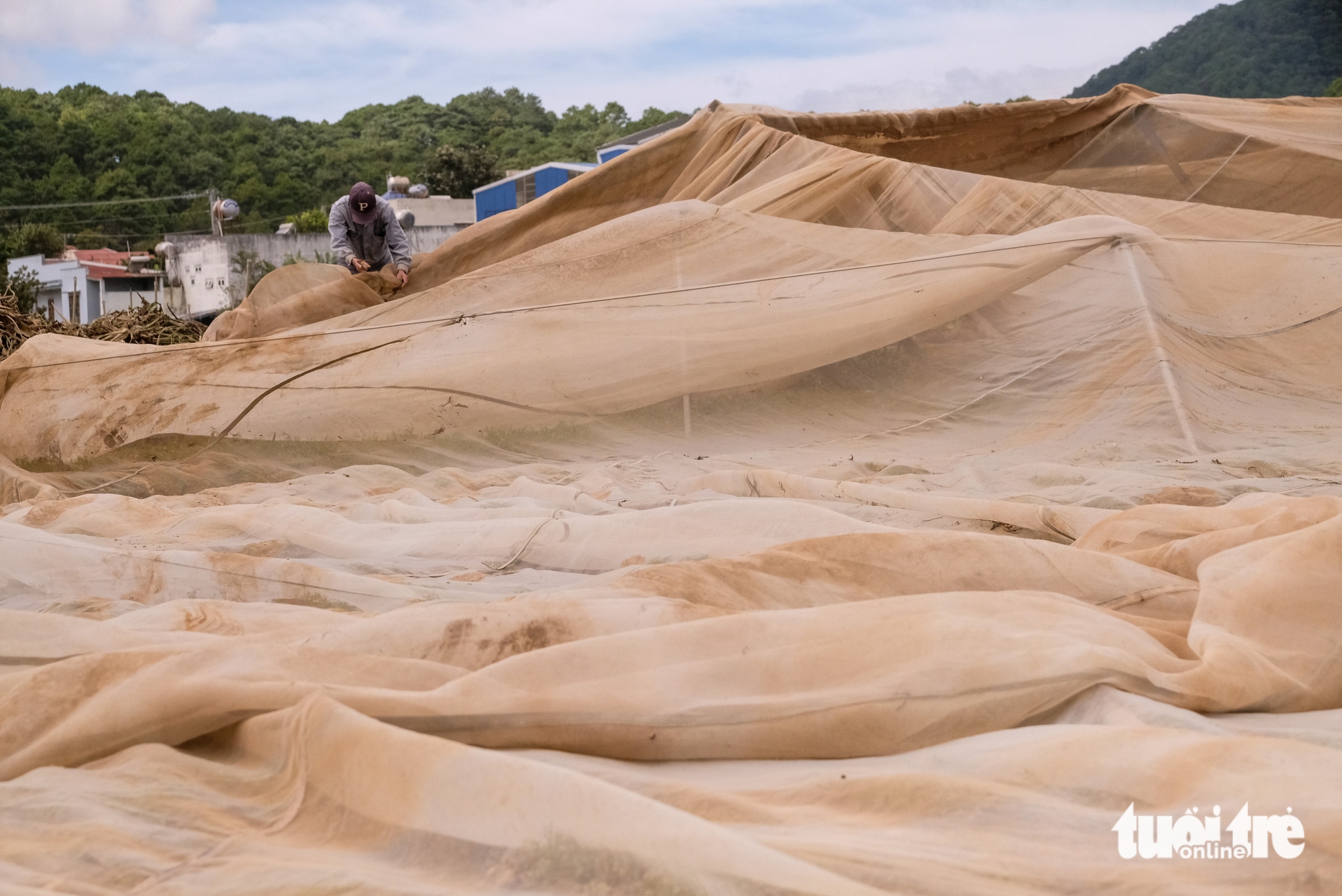 Vùng rau lớn nhất Lâm Đồng tan nát - Ảnh 3. Xót xa hình ảnh vùng rau lớn nhất Lâm Đồng tan hoang sau lũ dữ - Ảnh 3.
