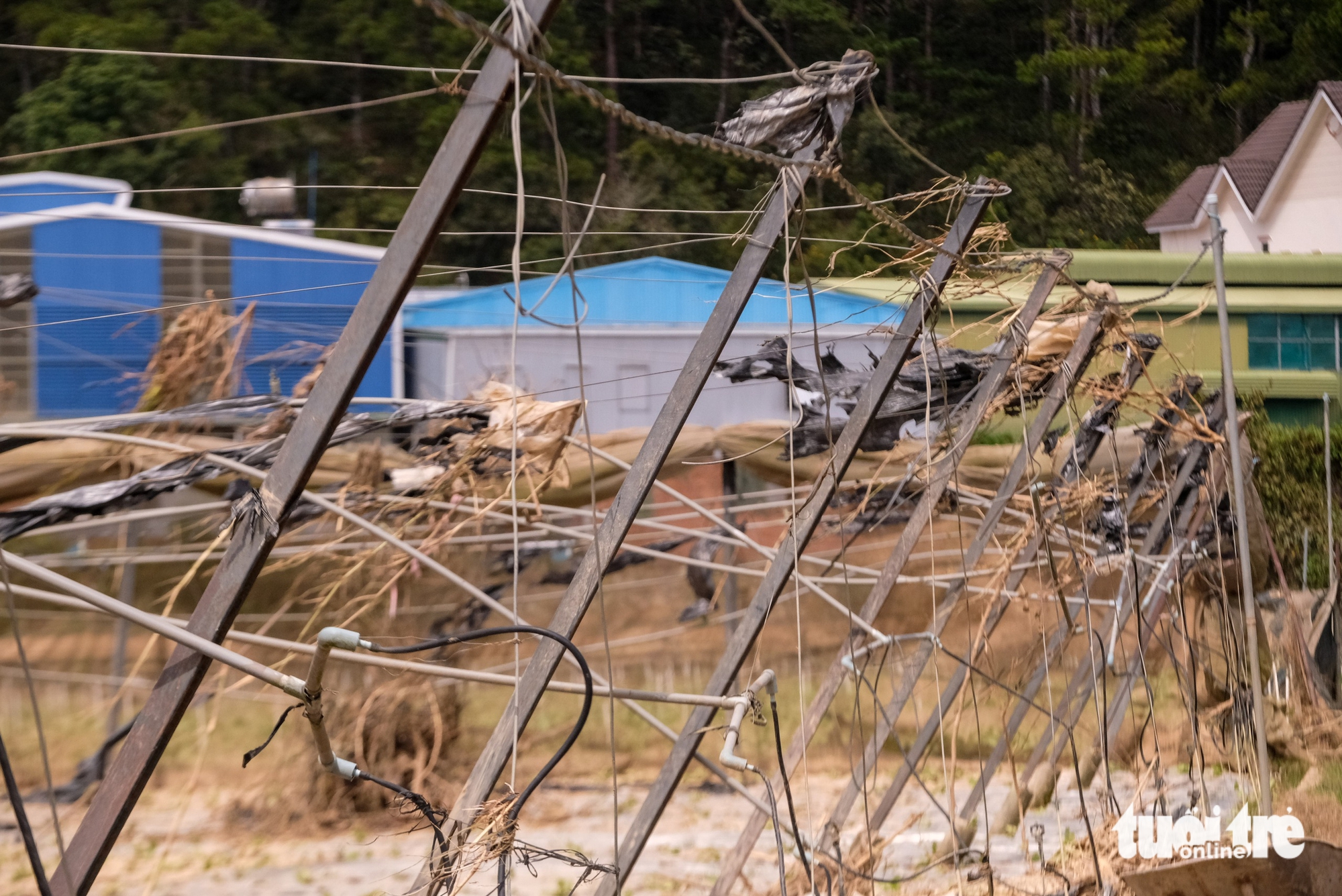 Vùng rau lớn nhất Lâm Đồng tan nát - Ảnh 7. Xót xa hình ảnh vùng rau lớn nhất Lâm Đồng tan hoang sau lũ dữ - Ảnh 7.