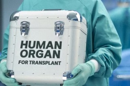 Bệnh nhân 'chết não' tỉnh dậy trước khi hiến tạng